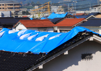 養生された屋根