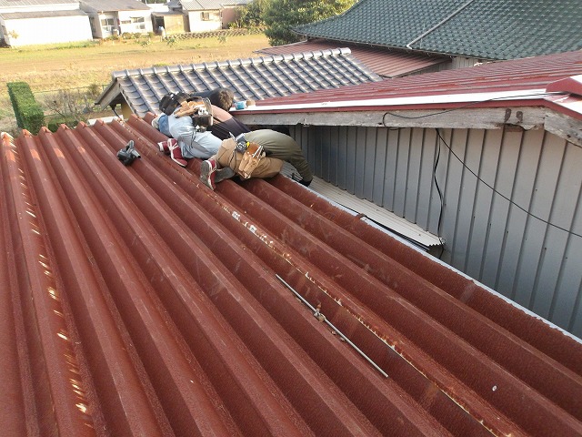 新しい屋根材と交換中