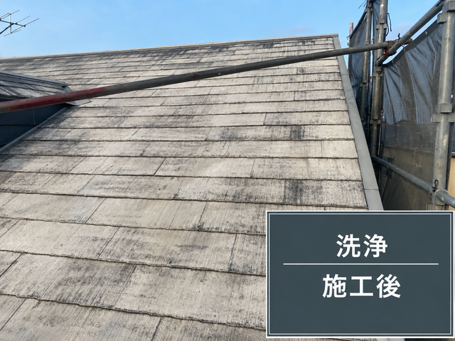 屋根の洗浄後
