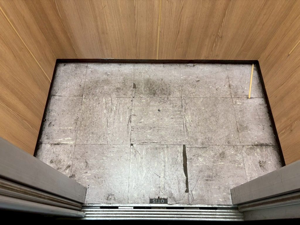 剥がした床の下地面
