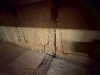 屋根裏壁面の水跡