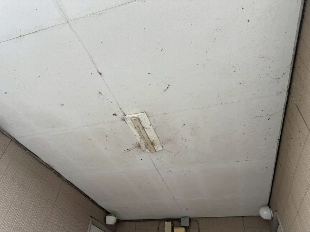共用通路の軒天汚れ