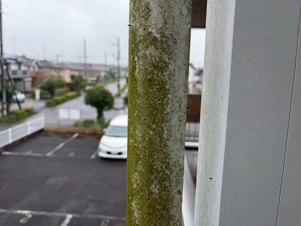 手すり支柱の苔付着
