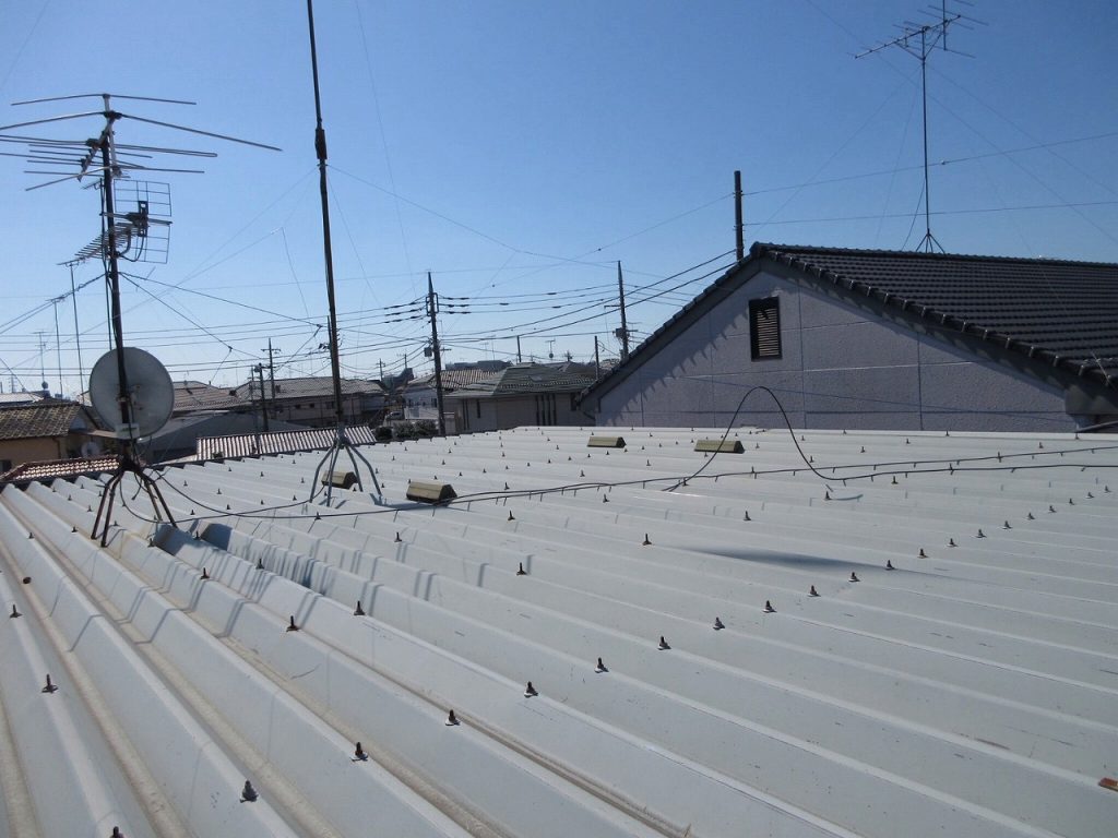 金属屋根の全体状況