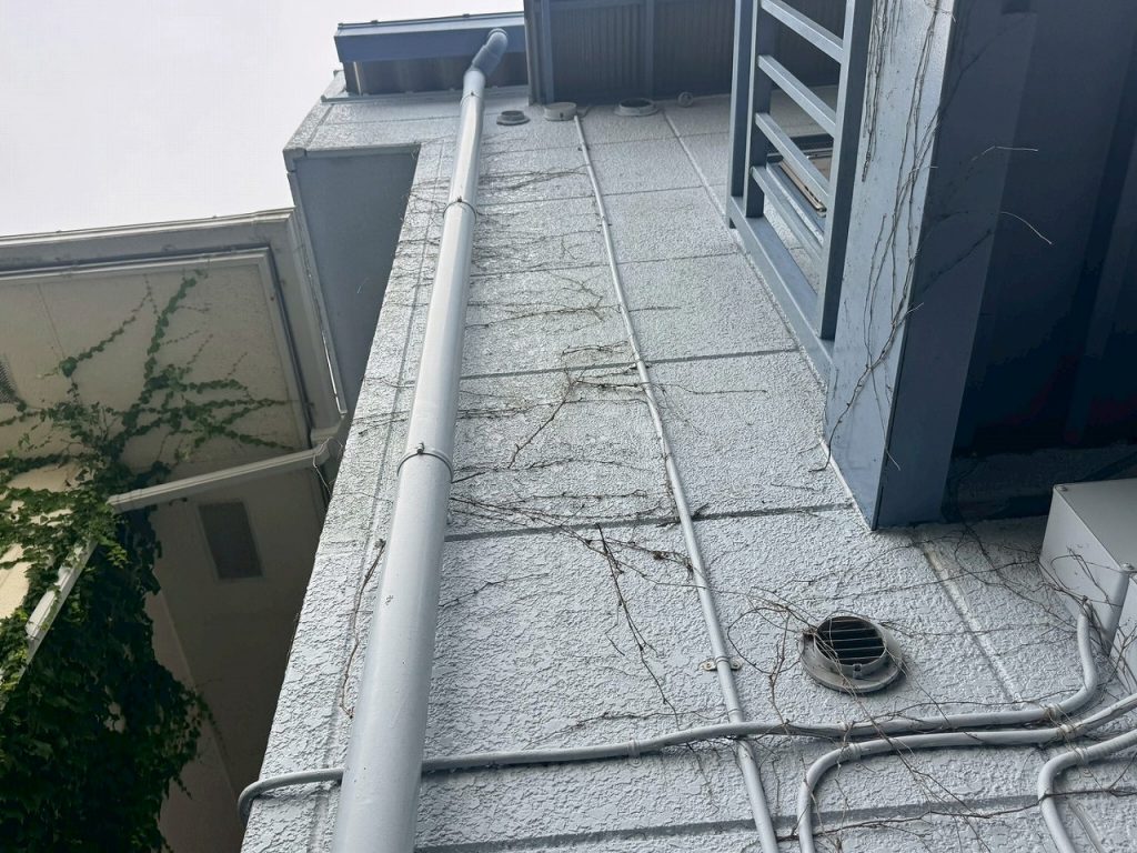 外壁に絡むツタ