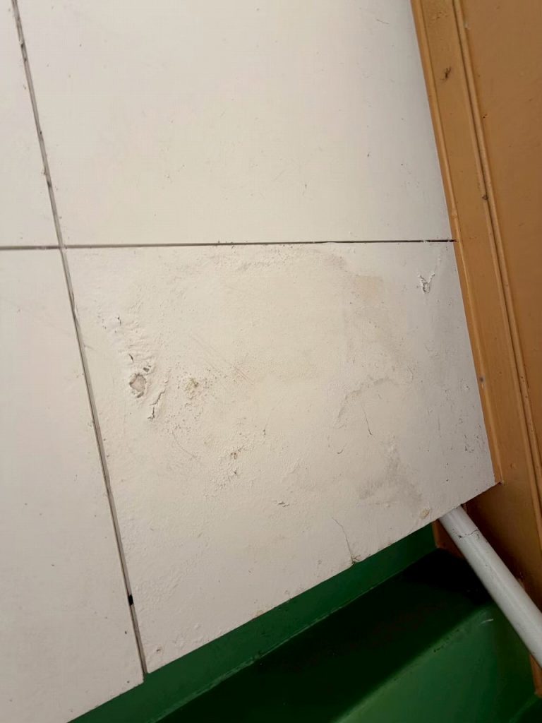 階段脇外壁の傷み