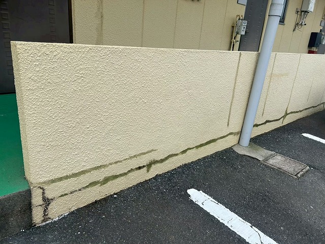 腰壁下部の苔汚れ