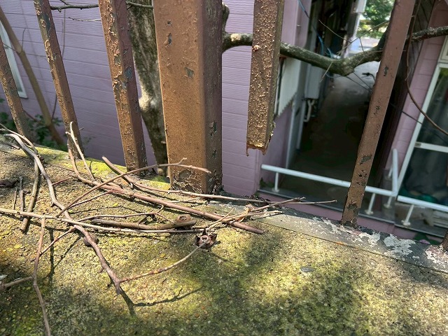 手すり根元の枝と苔
