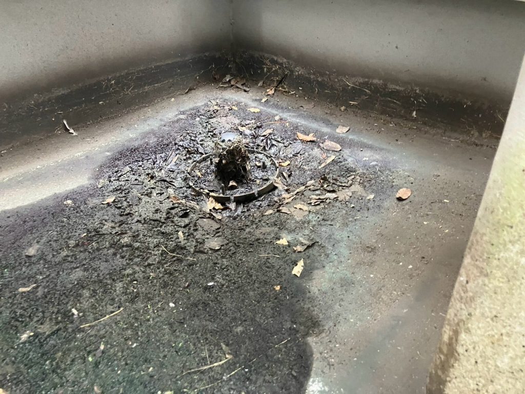 つくば市で防水工事の調査、排水口の詰まりや苔の繁殖が見られた屋上の傷み