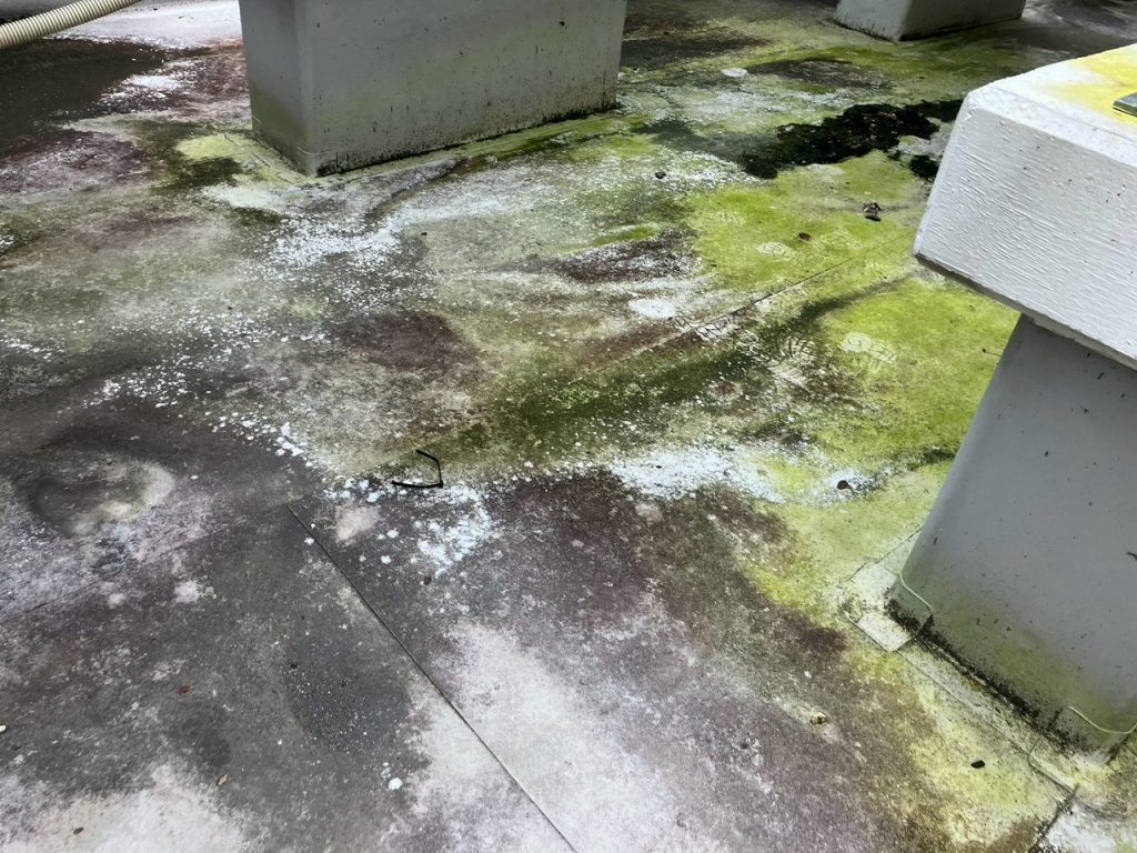 変色した防水床面