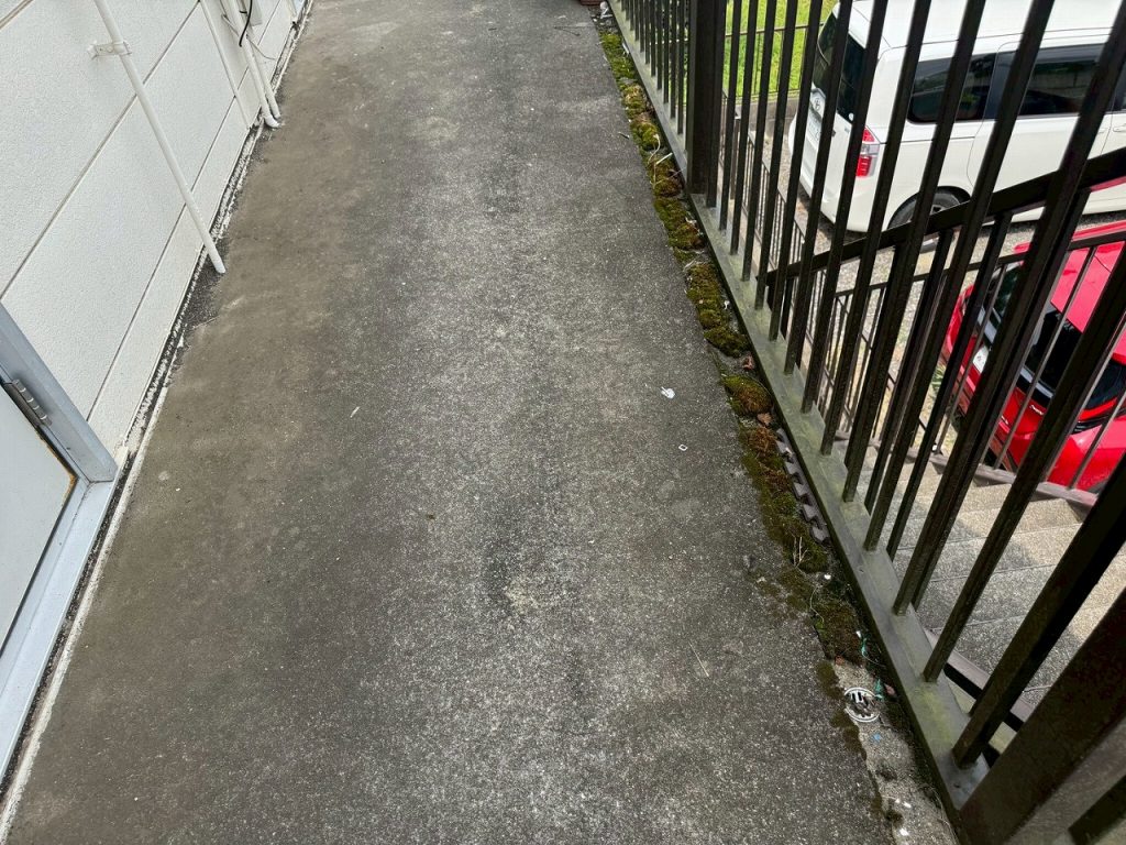 通路床の苔と汚れ