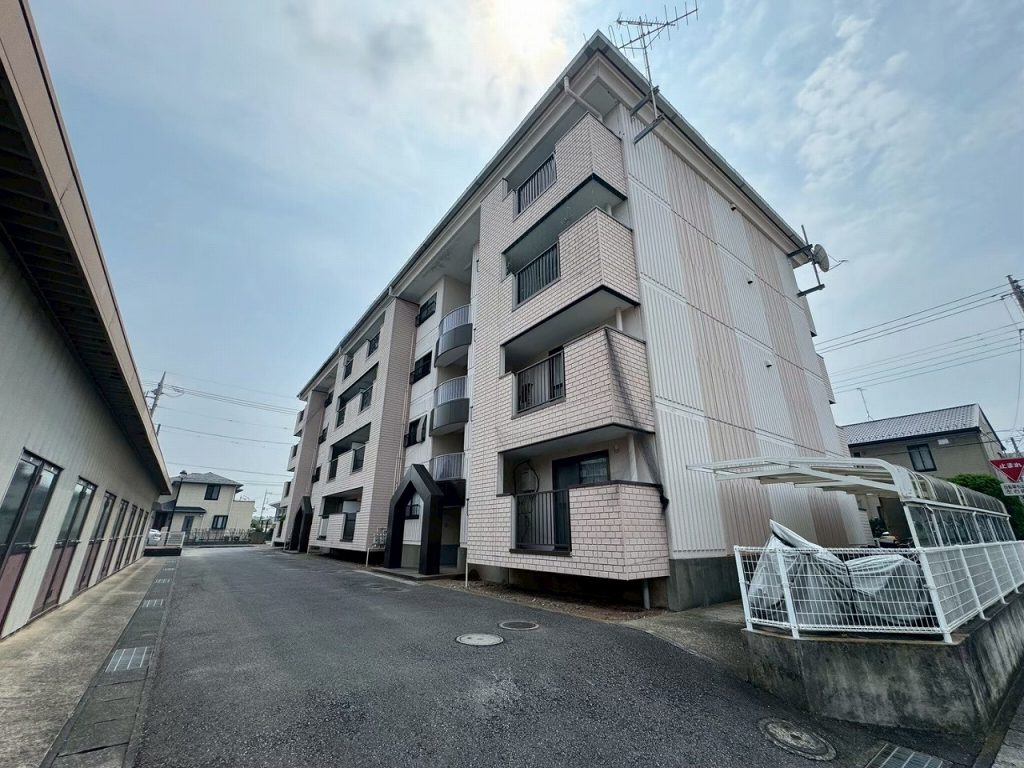 建物全景と外壁調査