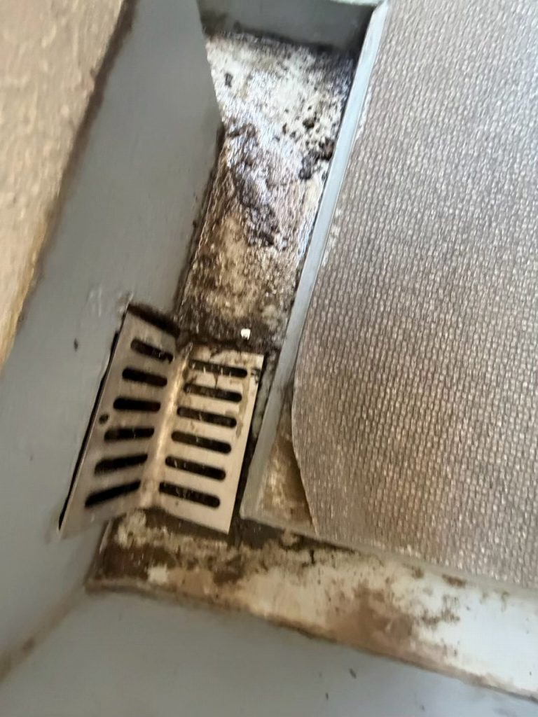 排水口まわりの汚れ