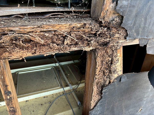 北茨城市のアパートで発覚したシロアリ被害　現地調査で見えた外壁内部の深刻な劣化とは