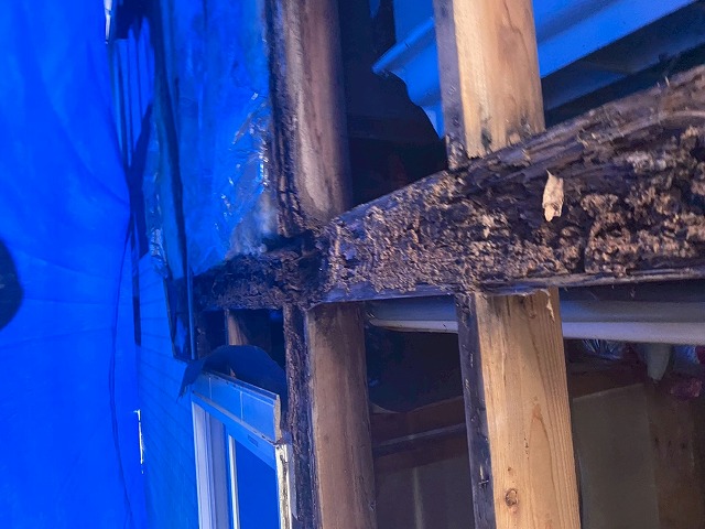 胴縁付近が酷くシロアリ被害にあっている写真