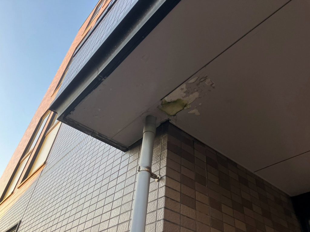 軒天の雨染みと剥がれ