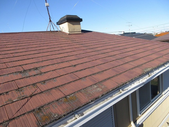 苔が付いた屋根の画像