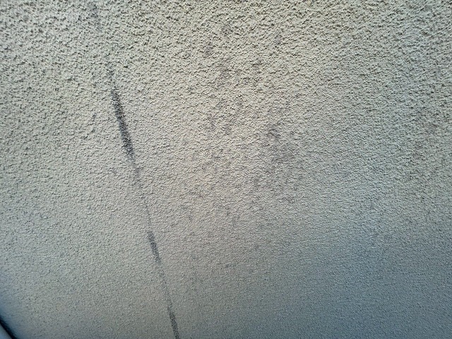 薄く目地が汚れている画像