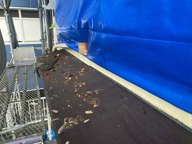 屋根に落ち葉がたまっている写真