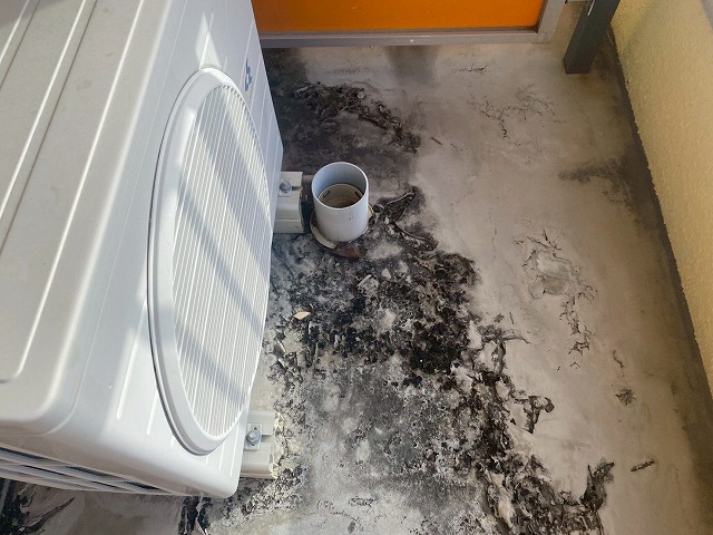 排水不良の写真