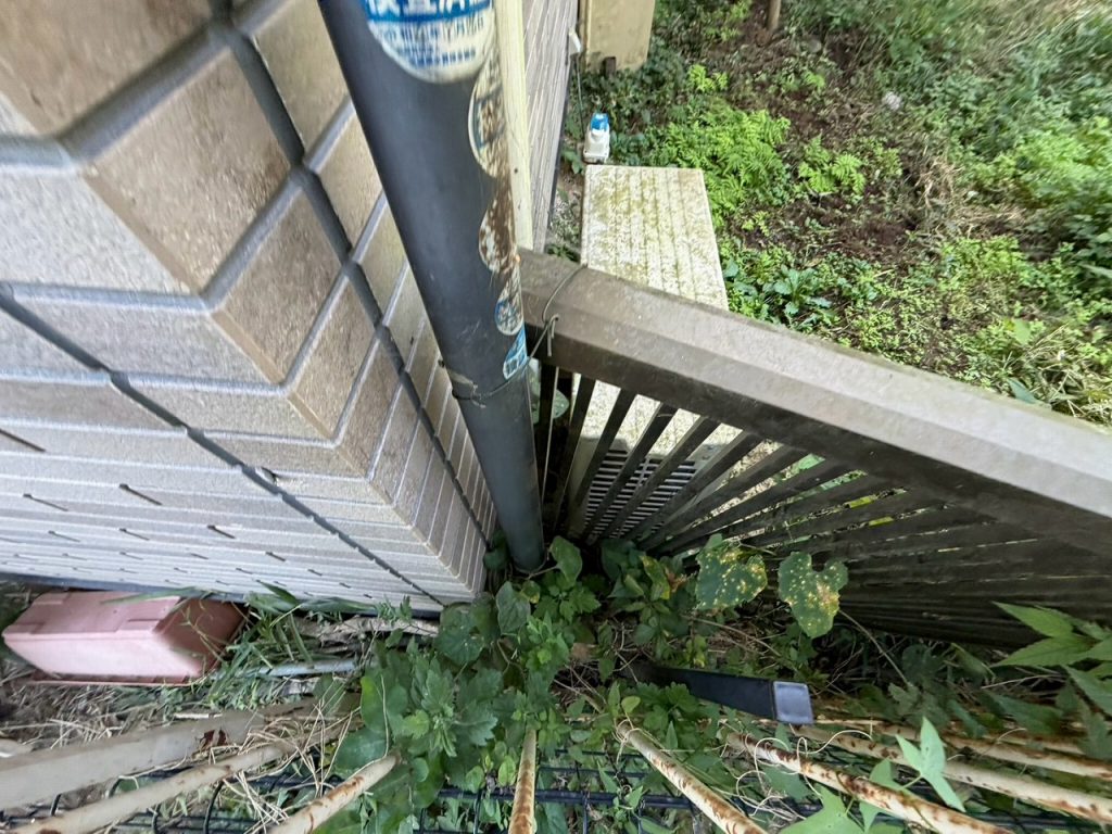 縦樋足元の草の繁茂