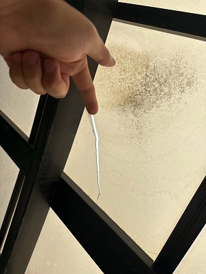 細長いひび割れ