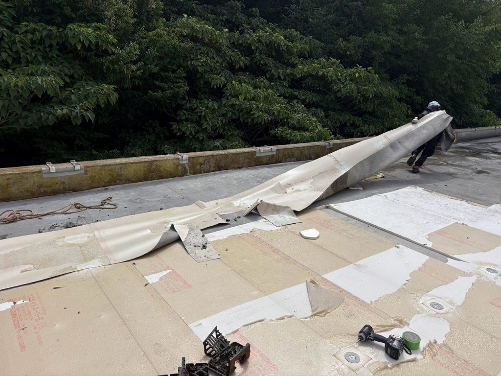 防水シート撤去作業