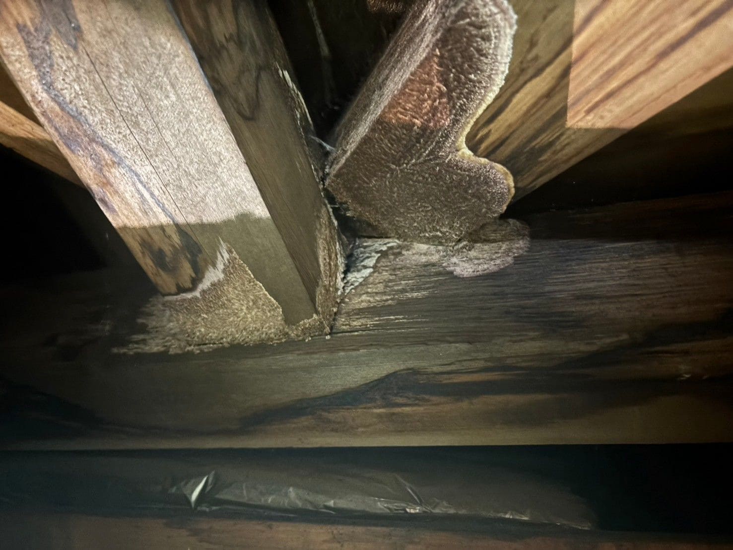 天井裏に広がる木材の湿気と変色