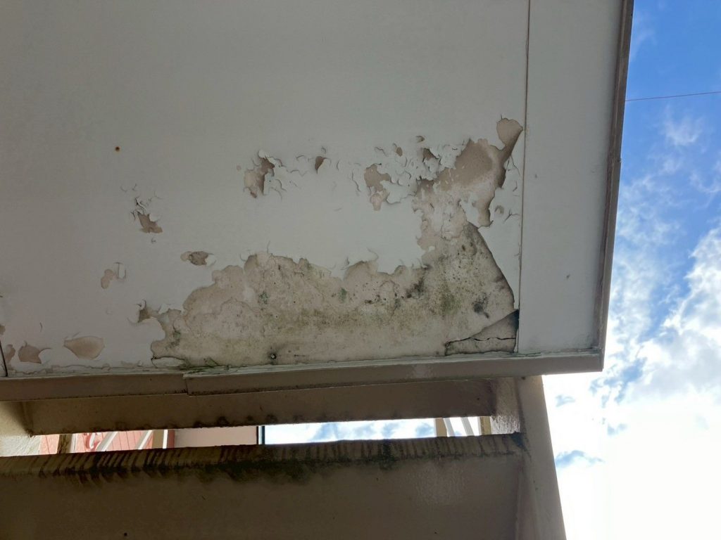 付帯部の塗膜剥離
