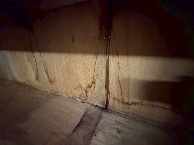 小屋裏の雨染み跡