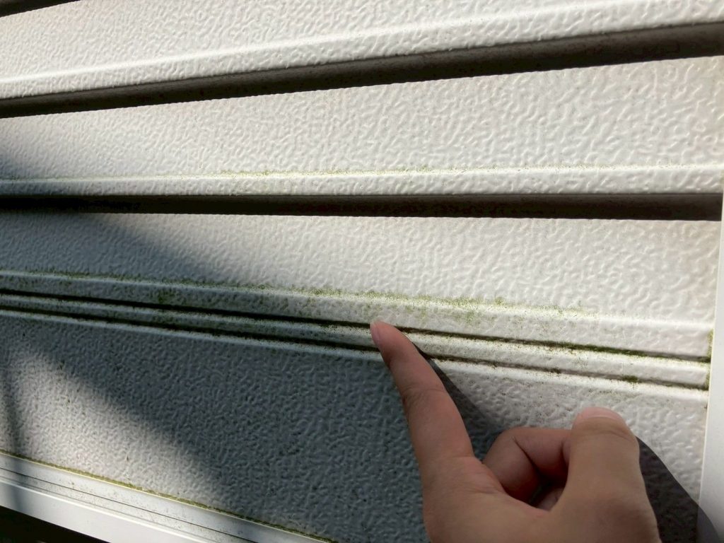 〇龍ケ崎市で外壁塗装前に確認した外壁の苔汚れとチョーキング、雨樋破損を伴う現地調査