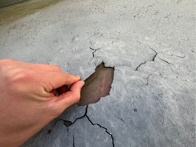 指でつまむだけでめくれてしまう塗膜