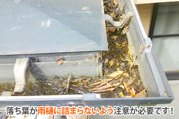 落ち葉が雨樋に詰まらないよう注意が必要です!