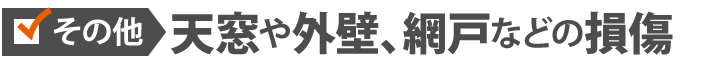 その他、天窓や外壁、網戸などの損傷