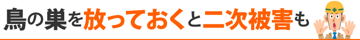鳥の巣を放っておくと二次被害も